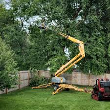 Lawn Grading and Leveling in Santa Fe Springs, CA